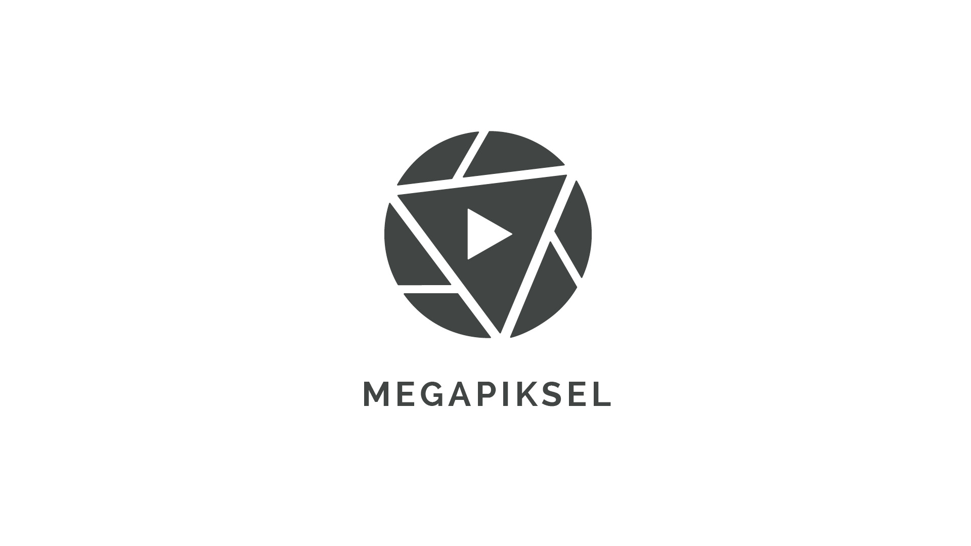 Megapixel Web logo.jpg